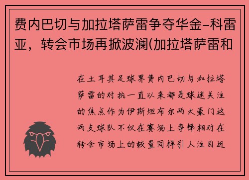 费内巴切与加拉塔萨雷争夺华金-科雷亚，转会市场再掀波澜(加拉塔萨雷和费内巴切)